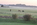 Tiere beobachten, Seeadler, Reiher, Hotel